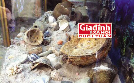 [Cổ vật tinh hoa] [http://covattinhhoa.vn/] Lão ngư tiếc nuối vì chạm tay vào kho cổ vật 7,6 triệu USD mà không biết 2